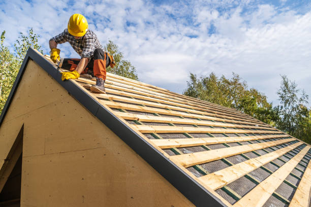 Best Flat Roof Repair Services  in Carrizozo, NM